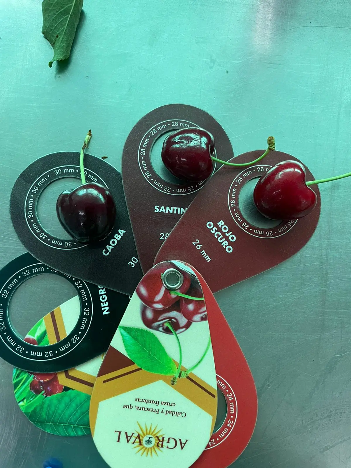Calibradores de color y tamaño de Agroval con cerezas