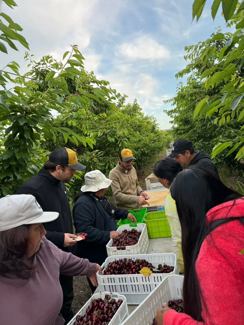 Supporting the harvest